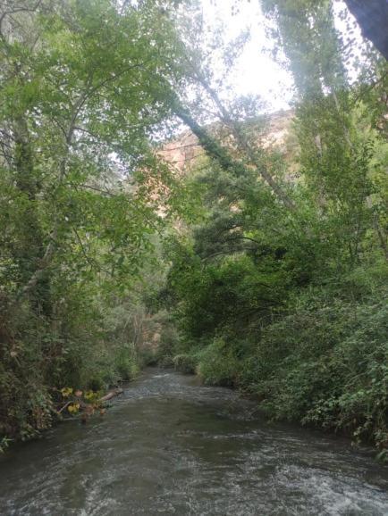 Casa Rural La Torreta En El Rincon De Ademuz Castielfabib المظهر الخارجي الصورة